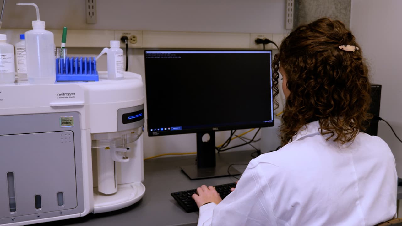 Author Spotlight: Alignment of Synchronized Time-Series Data Using the Characterizing Loss of Cell Cycle Synchrony Model for Cross-Experiment Comparisons