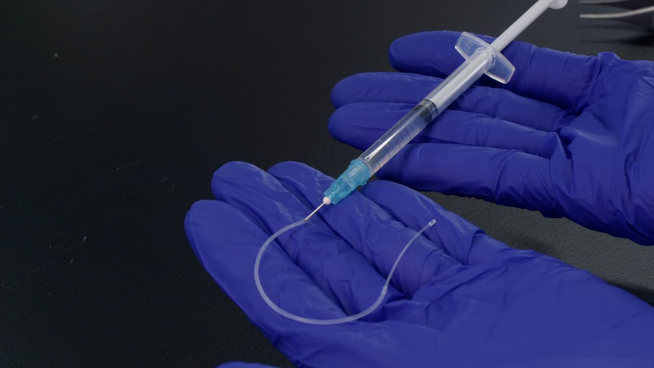 Hyperglycemic Clamp and Hypoglycemic Clamp in Conscious Mice