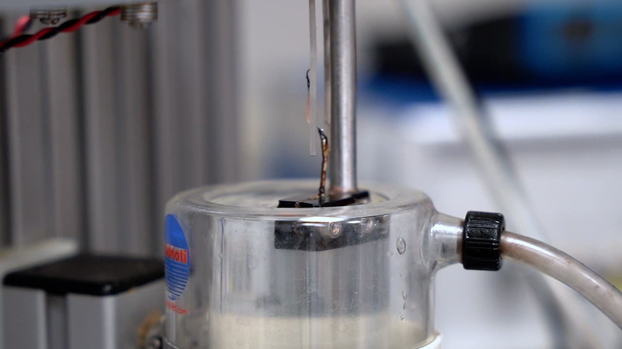 "Avatar", a Modified <em>Ex vivo</em> Work Loop Experiments Using <em>In vivo</em> Strain and Activation