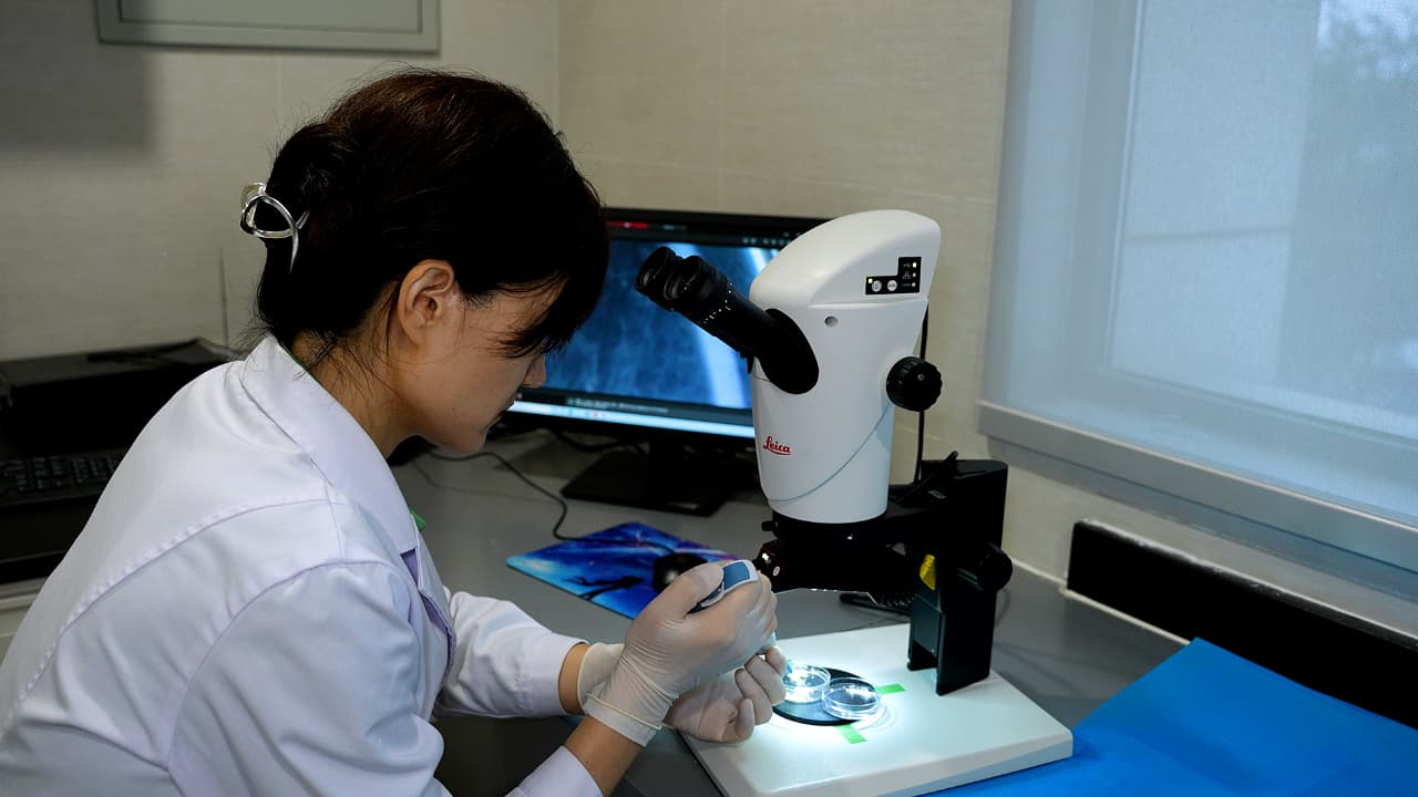Isolation and Culture of Primary Cochlear Hair Cells from Neonatal Mice