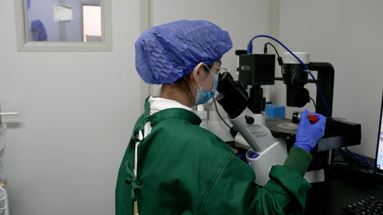 Generating Kidney Organoids in Suspension from Induced Pluripotent Stem Cells