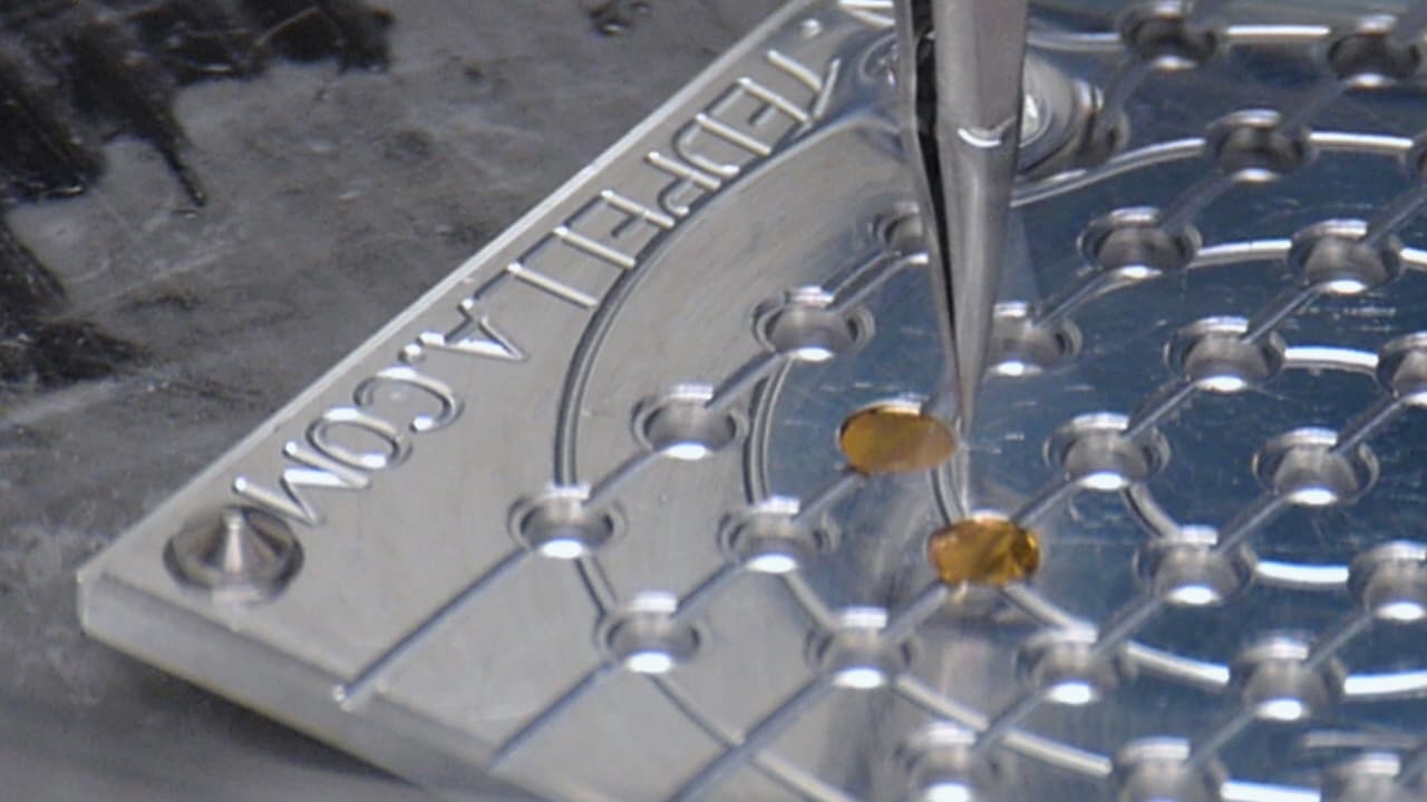 Fabrication of Monolayer Graphene-Coated Grids for Cryoelectron Microscopy