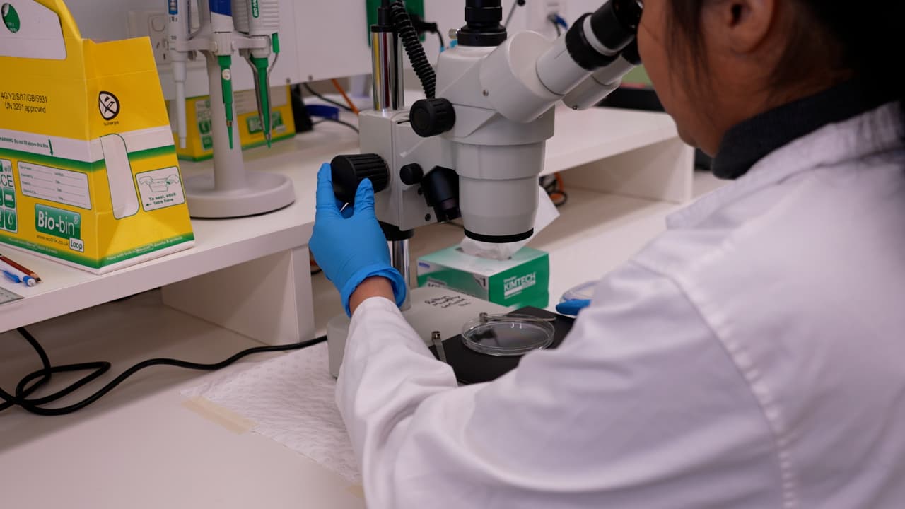 Fiber Type Identification of Human Skeletal Muscle