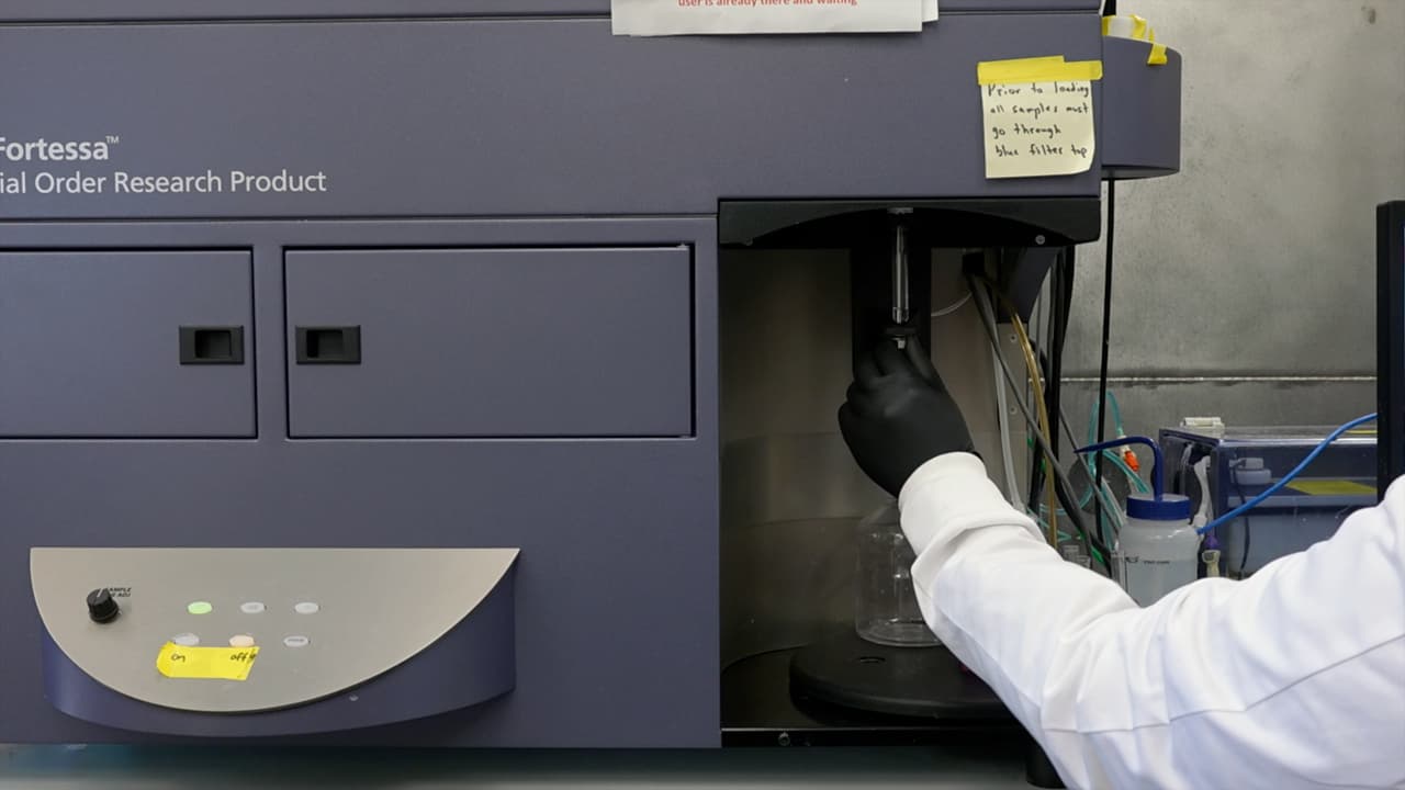 Tracking miRNA Release into Extracellular Vesicles using Flow Cytometry
