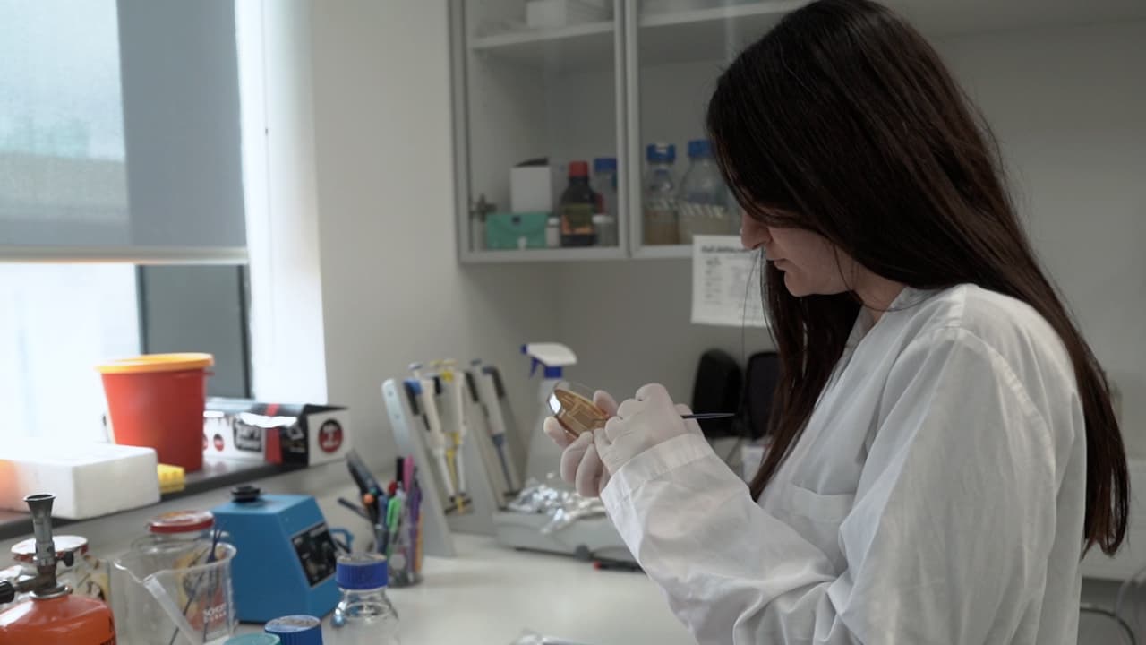Author Spotlight: Advancing Research in Microbial Autoaggregation Using Imaging Flow Cytometry