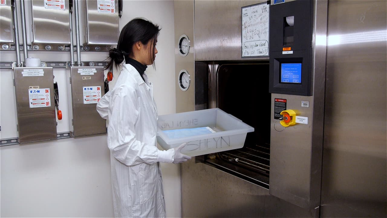 Author Spotlight: Advancements in Cell and Tissue Engineering for Tendon Repair