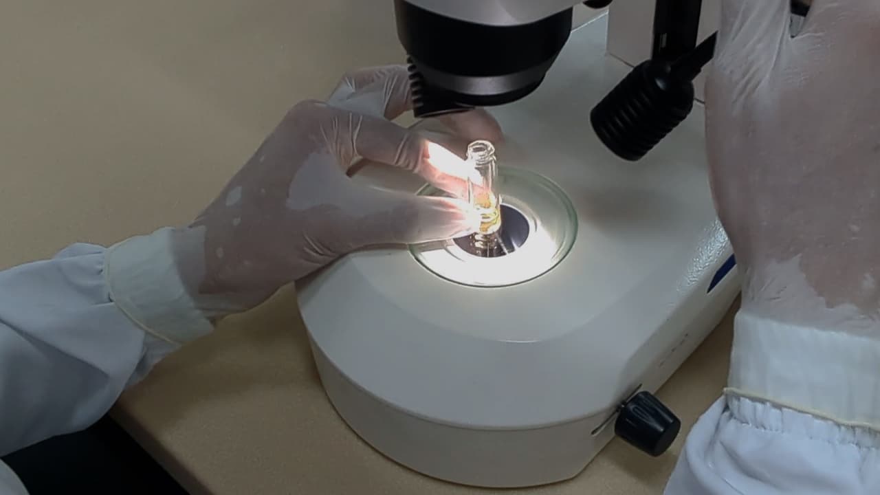 Intact Short, Intermediate, and Long Skeletal Muscle Fibers Obtained by Enzymatic Dissociation of Six Hindlimb Muscles of Mice: Beyond Flexor Digitorum Brevis