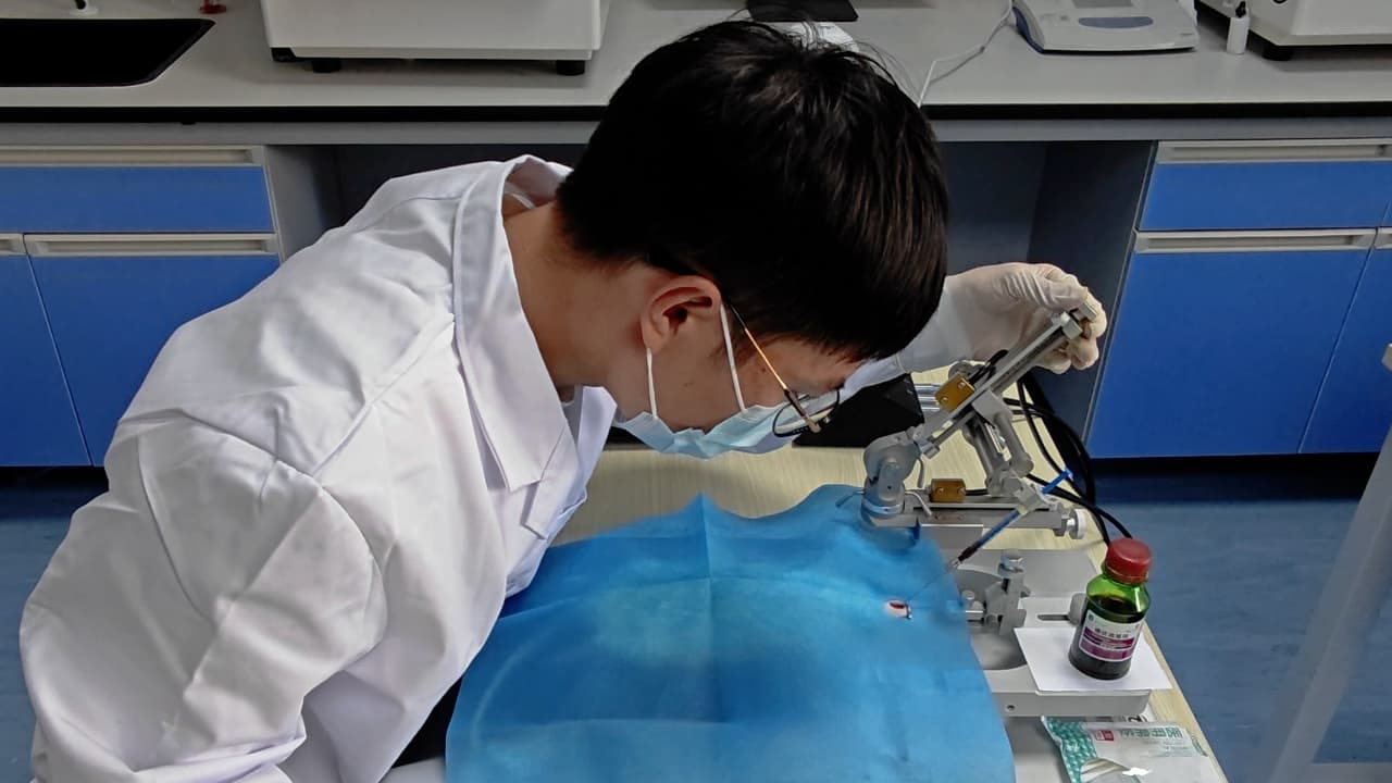 Imaging Vital and Non-vital Brain Pericytes in Brain Slices following Subarachnoid Hemorrhage