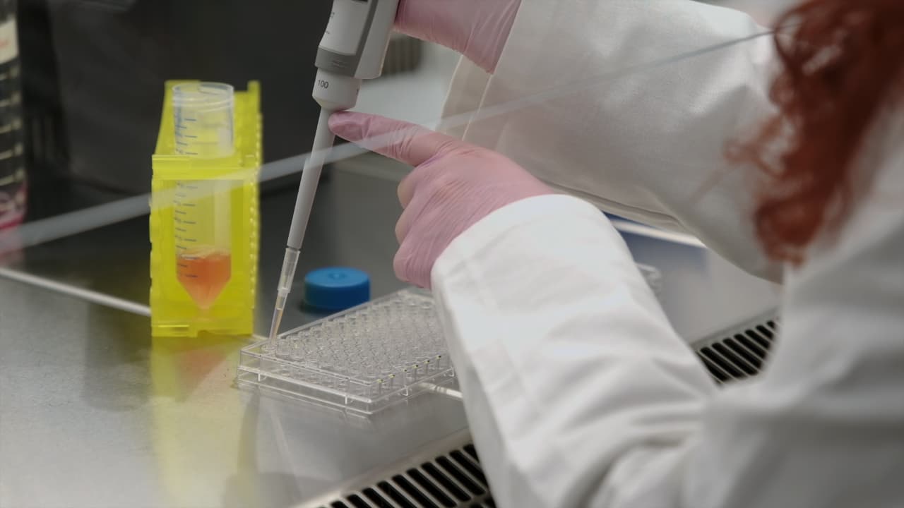 Cost-Efficient Transcriptomic-Based Drug Screening