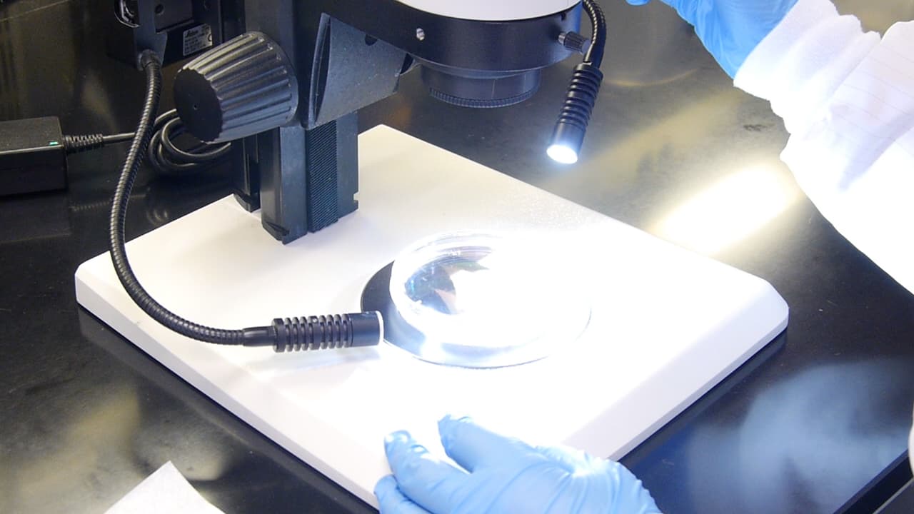 Author Spotlight: Understanding Dynamic Cellular Behaviors in Adult Mouse Dental Tissue Renewal and Repairment