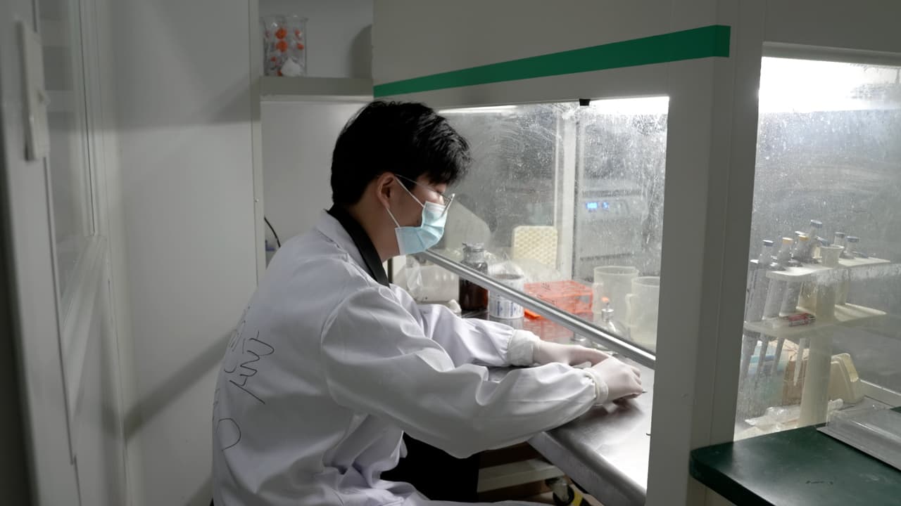 In Vivo Osteo-organoid Approach for Harvesting Therapeutic Hematopoietic Stem/Progenitor Cells