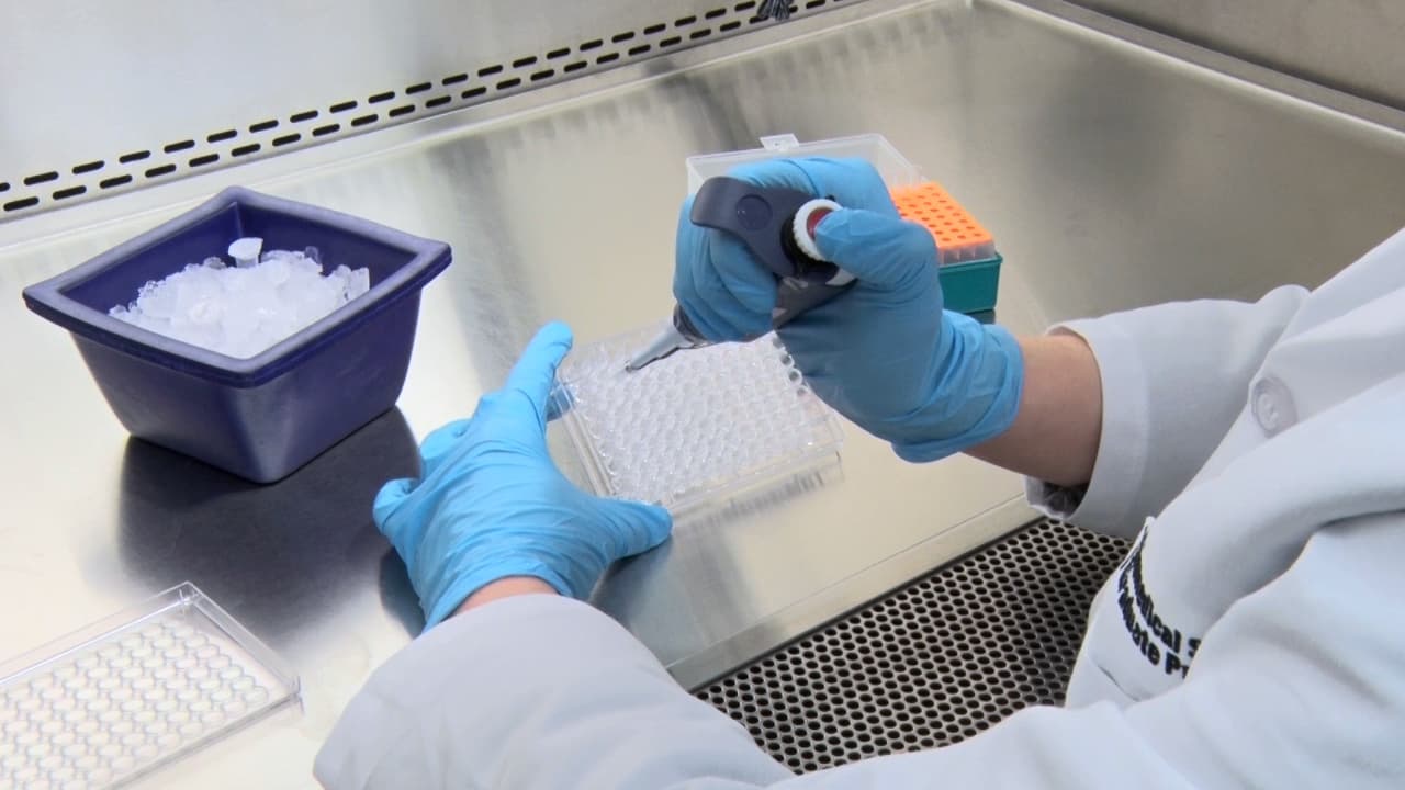 Multiplexed Live-Cell Imaging for Drug Responses in Patient-Derived Organoid Models of Cancer