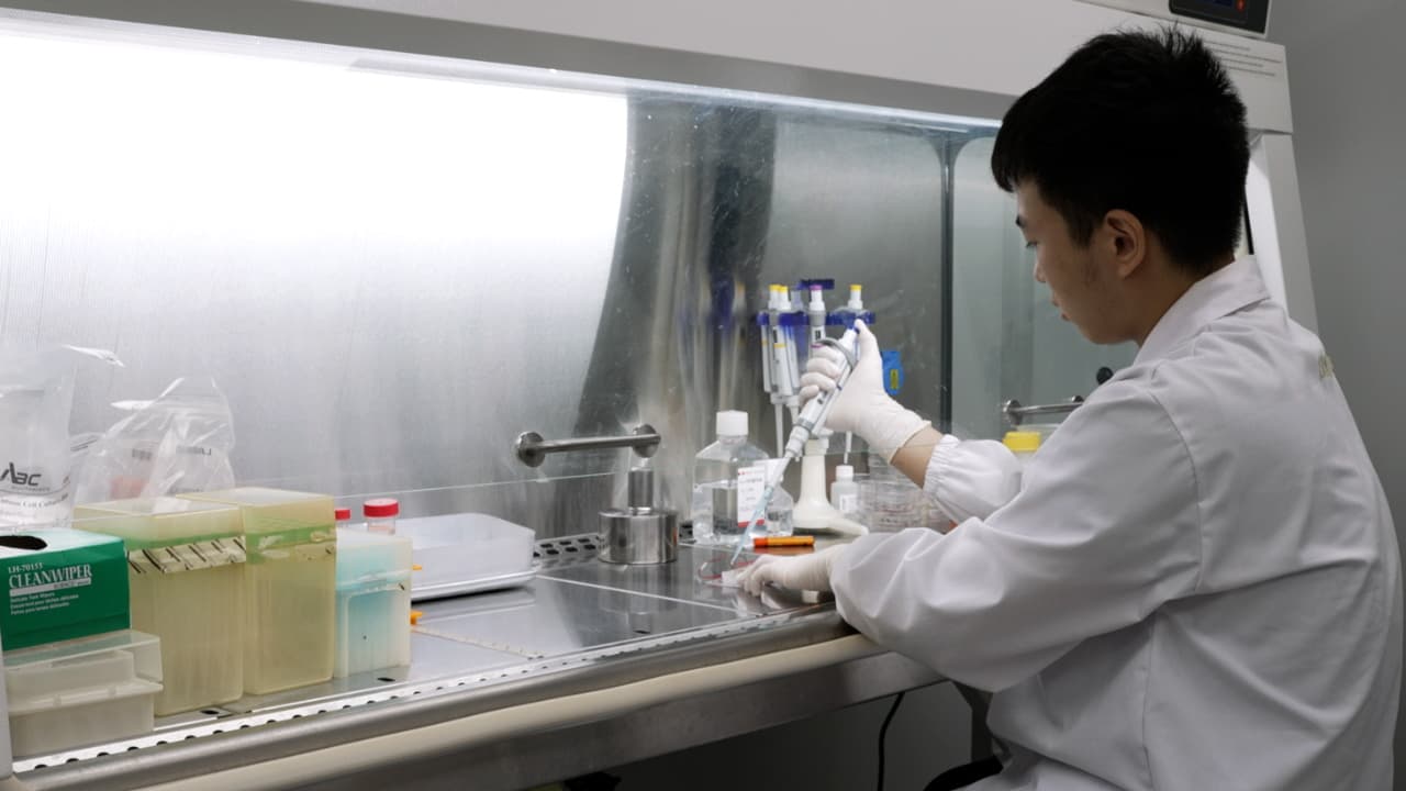Author Spotlight: Development of a Scaffold-Free Acoustic Assembly Method for High-Quality 3D Cell Spheroid Culture