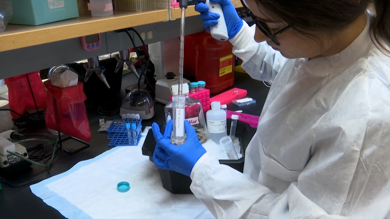 Author Spotlight: Analyzing Bone Marrow Microenvironment in Murine Hematological Malignancies