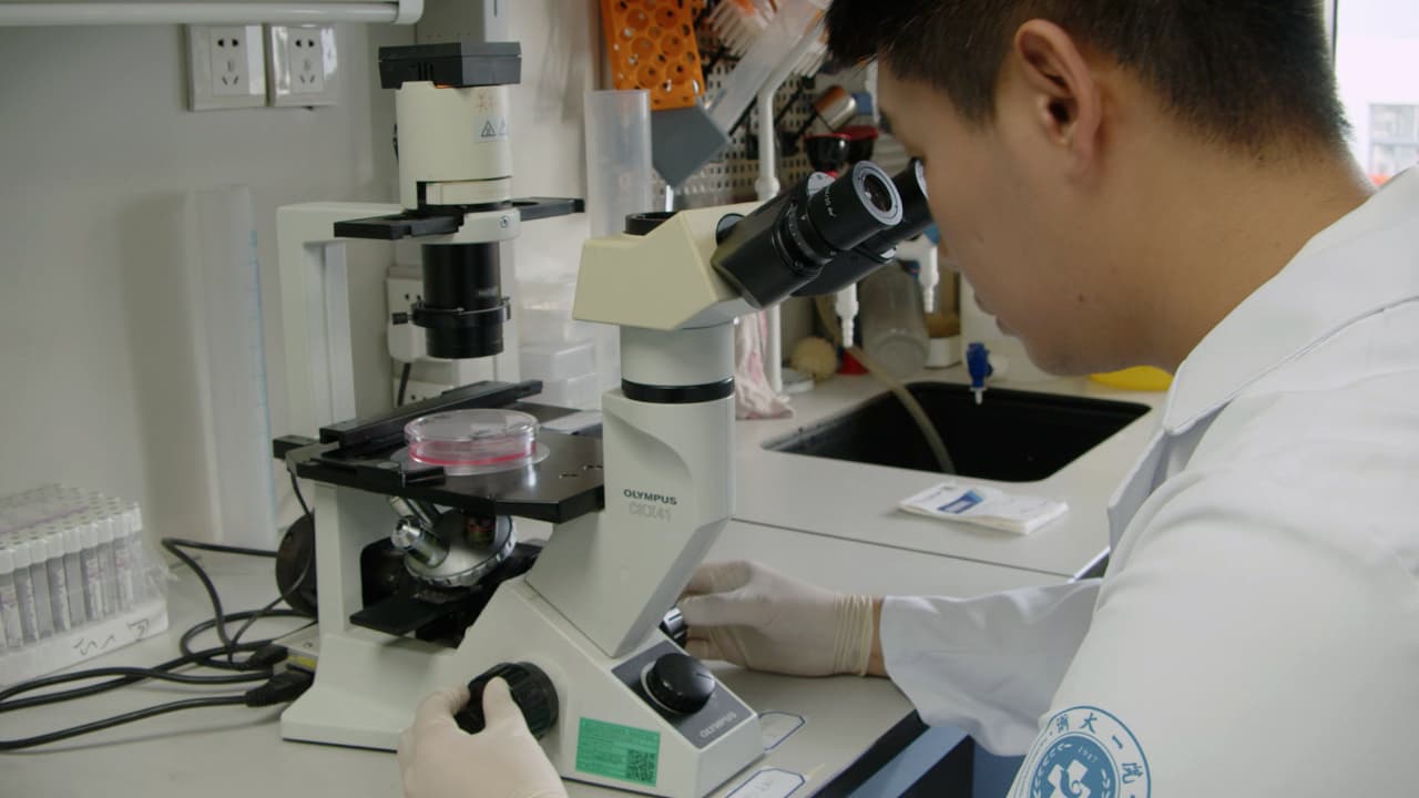 Author Spotlight: Innovative Use of nsPEF to Boost Peripheral Nerve Regeneration