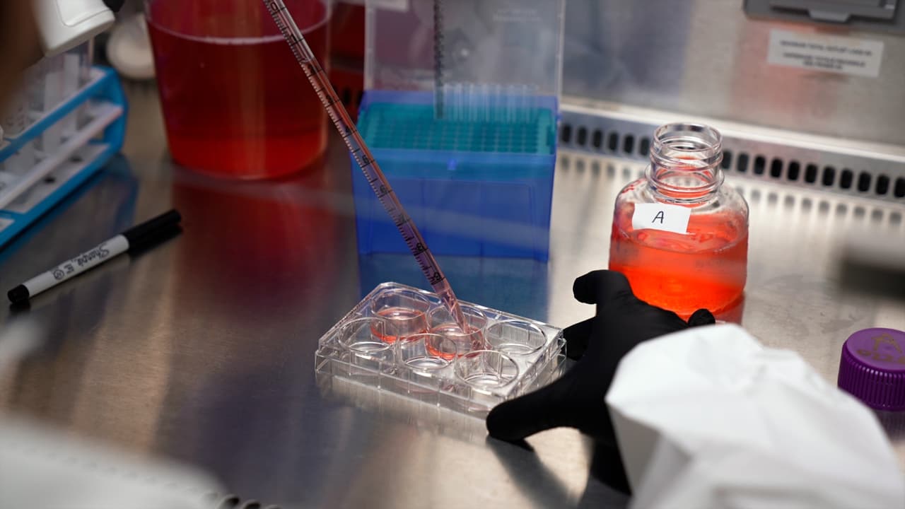 Author Spotlight: Robust Culture of Human Enteric Neurons from Human Pluripotent Stem Cells
