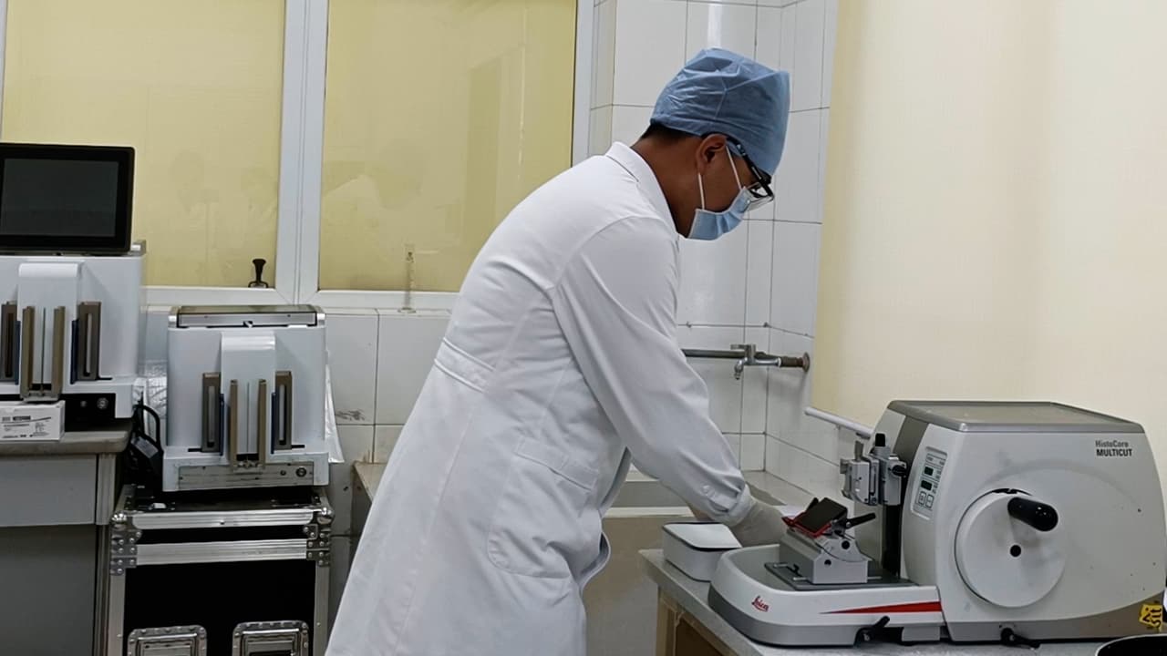 Multiplex Cyclic Fluorescent Immunohistochemistry