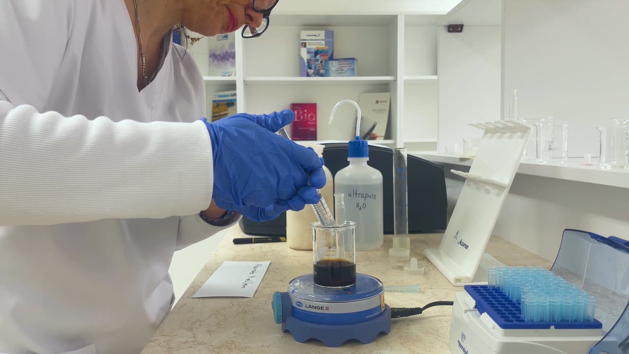 Green Synthesis, Characterization, Encapsulation, and Measurement of the Release Potential of Novel Alkali Lignin Micro-/Submicron Particles