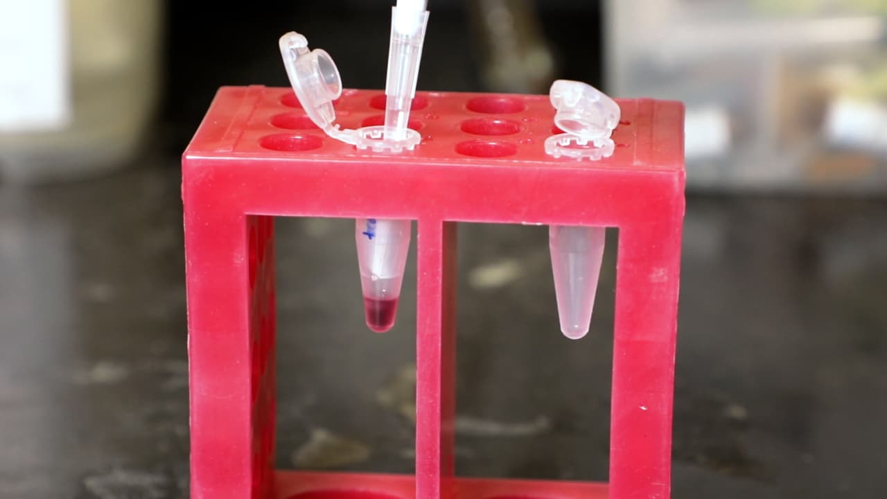 AQRNA-seq for Quantifying Small RNAs