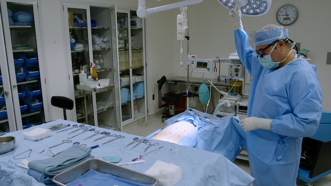 Author Spotlight: Techniques and Challenges in Islet Purification for Xenotransplantation