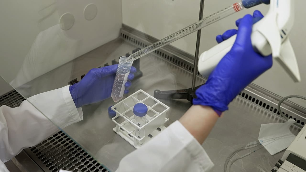 Suspension Culture Production and Purification of Adeno-Associated Virus by Iodixanol Density Gradient Centrifugation for In Vivo Applications