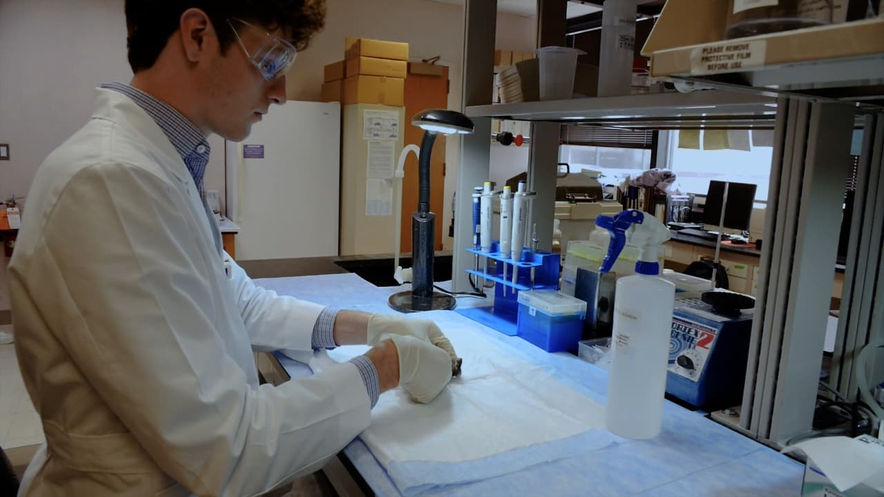 Author Spotlight: Optimizing Supraclavicular Brown Adipose Tissue Extraction for Genetic Analysis