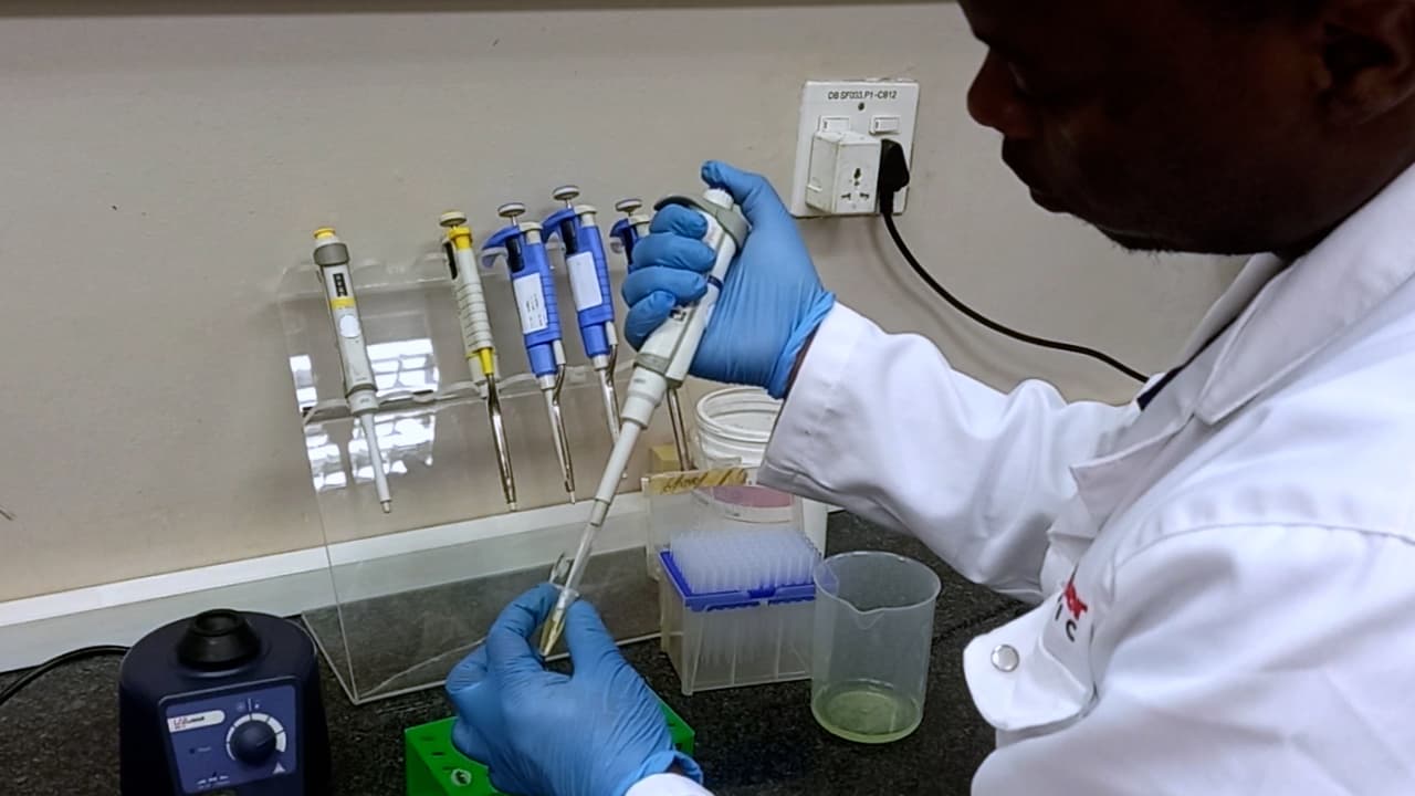 <i>Escherichia coli </i>-Based Complementation Assay to Study the Chaperone Function of Heat Shock Protein 70