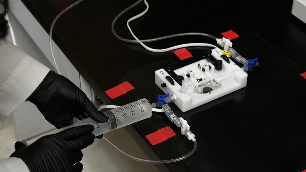 Real-time Evaluation of Absolute, Cytosolic, Free Ca<sup>2+</sup> and Corresponding Contractility in Isolated, Pressurized Lymph Vessels