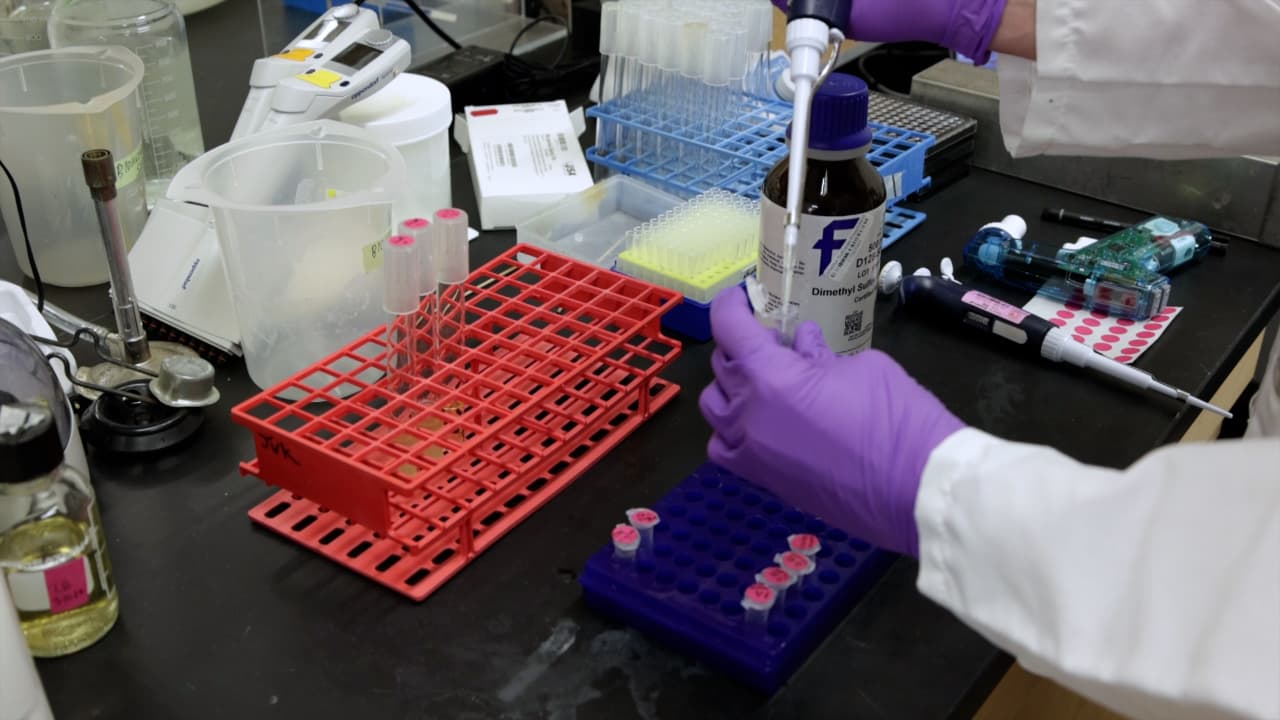 Author Spotlight: Advancing Therapeutics to Treat Vibriosis in Humans and Aquatic Organisms