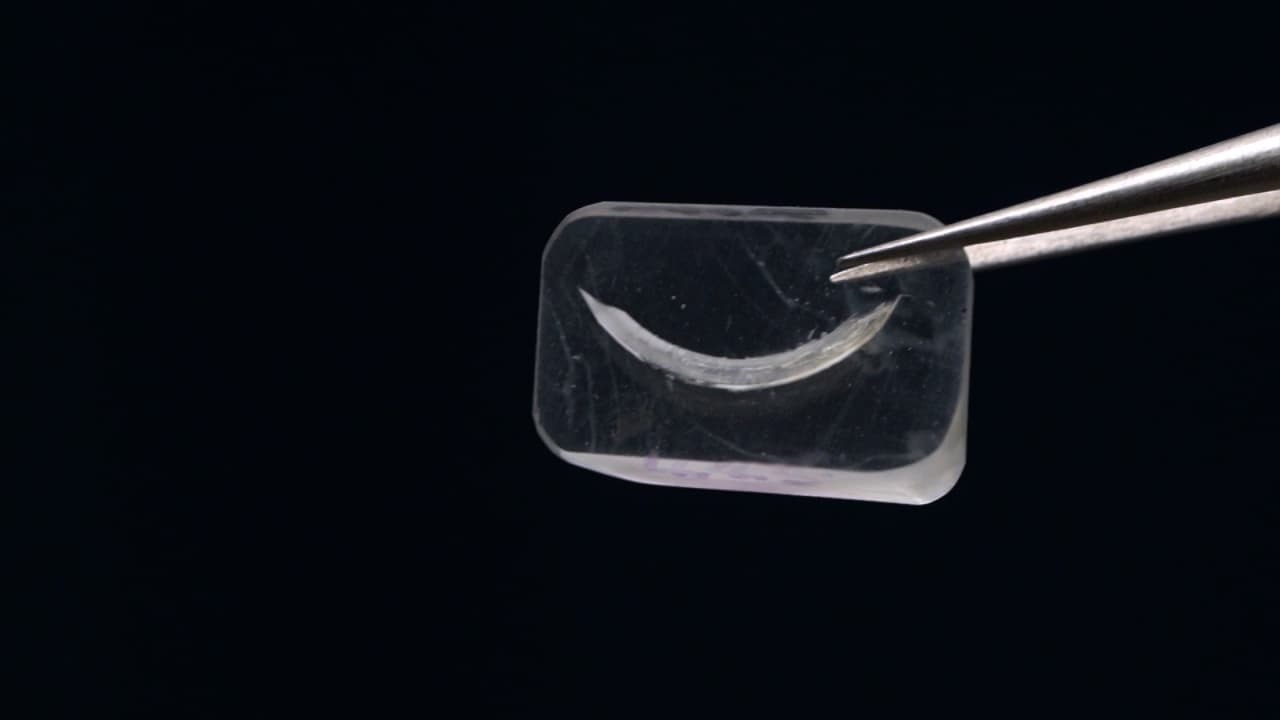 Microhardness Measurements on Tooth and Alveolar Bone in Rodent Oral Disease Models