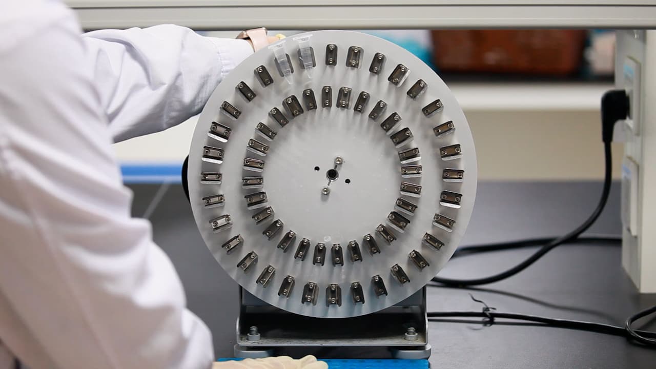 Preparation of Retinal Samples for Volume Electron Microscopy