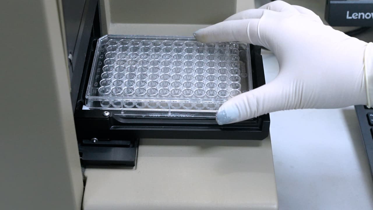 Detection of CD40 Protein-Umbelliferone Interaction via Differential Scanning Fluorescence