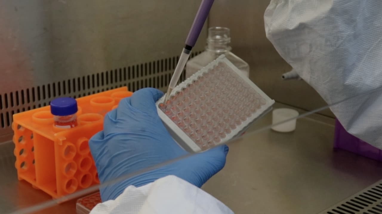Three-Dimensional Cell Culture of Adipose-Derived Stem Cells in a Hydrogel with Photobiomodulation Augmentation