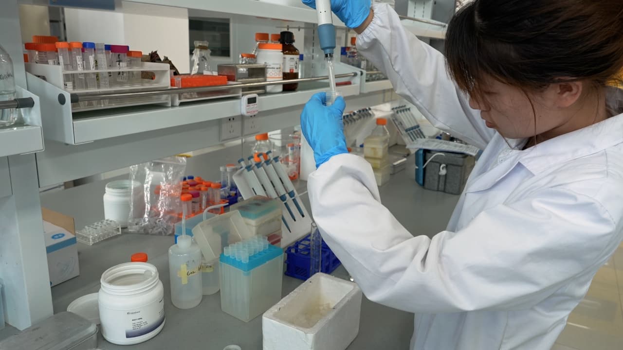Author Spotlight: Optimizing CFPS Systems for Synthetic Cell Construction