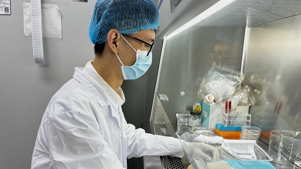 Isolation and Culture of Primary Human Mammary Epithelial Cells