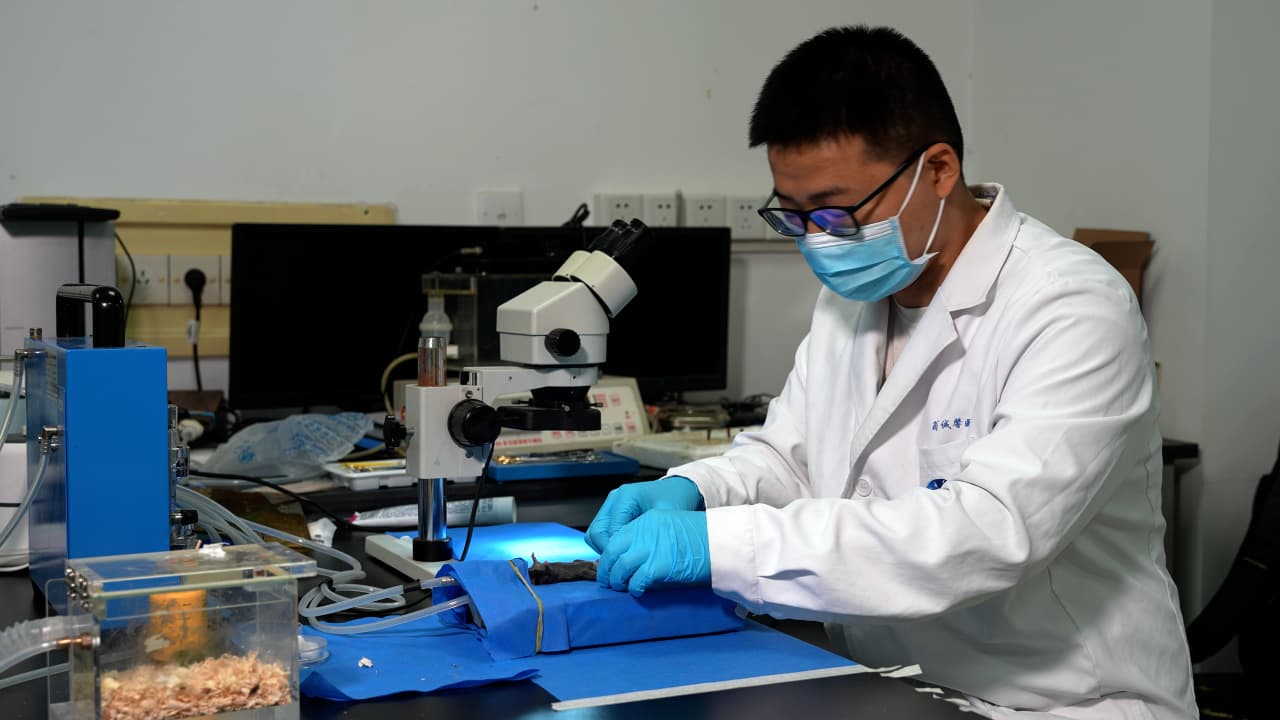 Author Spotlight: Development and Characterization of a Mouse Model for Abdominal Aortic Aneurysm