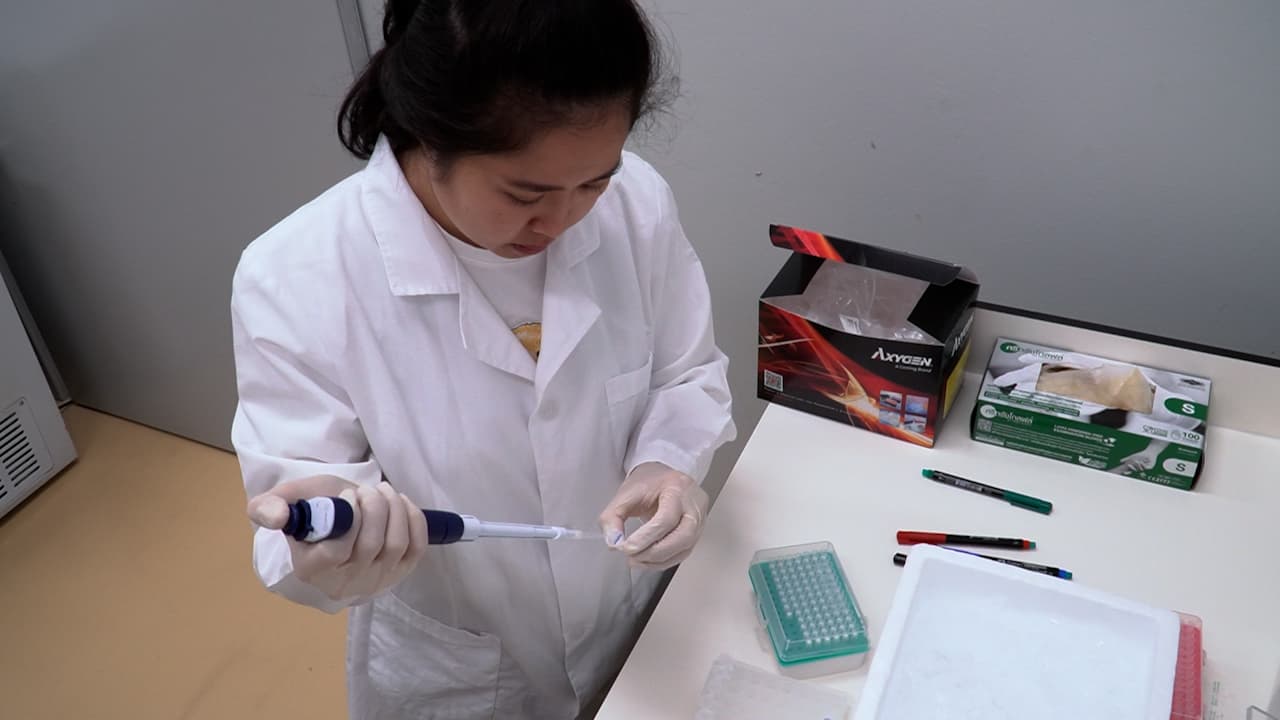 Author Spotlight: Development of Simplified CRISPR-Based Tests for Rapid Detection of Infectious Diseases