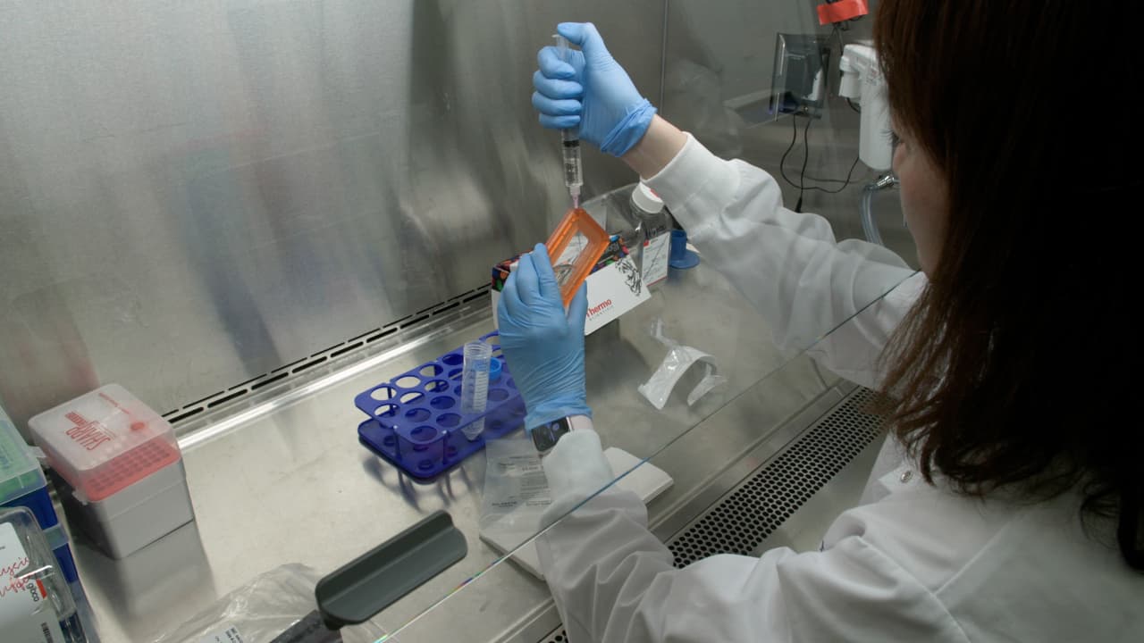 A Streamlined and Standardized Procedure for Generating High-Titer, High-Quality Adeno-Associated Virus Vectors Utilizing a Cell Factory Platform