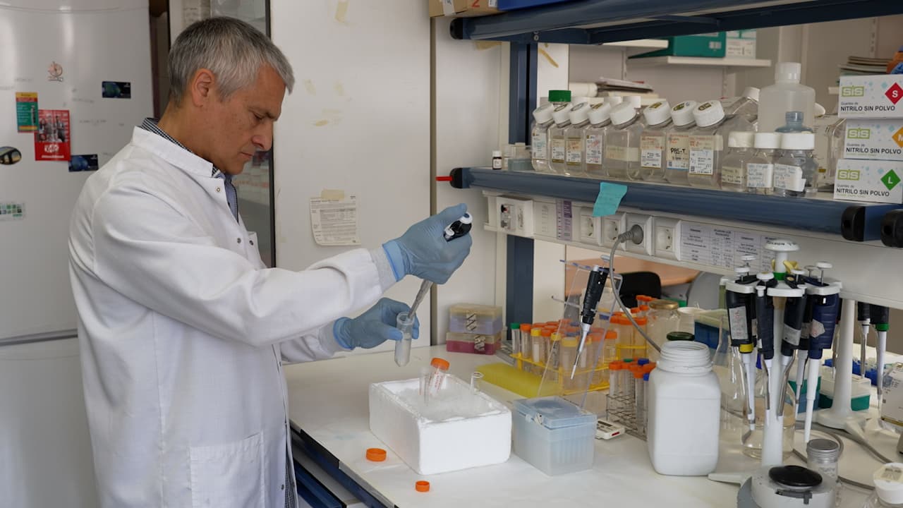 Isolation of Mitochondria for Mitochondrial Supercomplex Analysis from Small Tissue and Cell Culture Samples