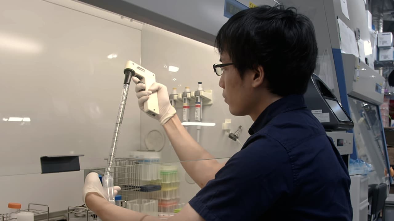 Engineering of Human Blood-Induced Microglia-like Cells for Reverse-Translational Brain Research