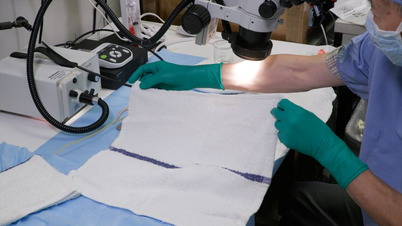 Assessing Functional Recovery of Eupneic Diaphragm Activity Following Unilateral Cervical Spinal Cord Hemisection in Rats