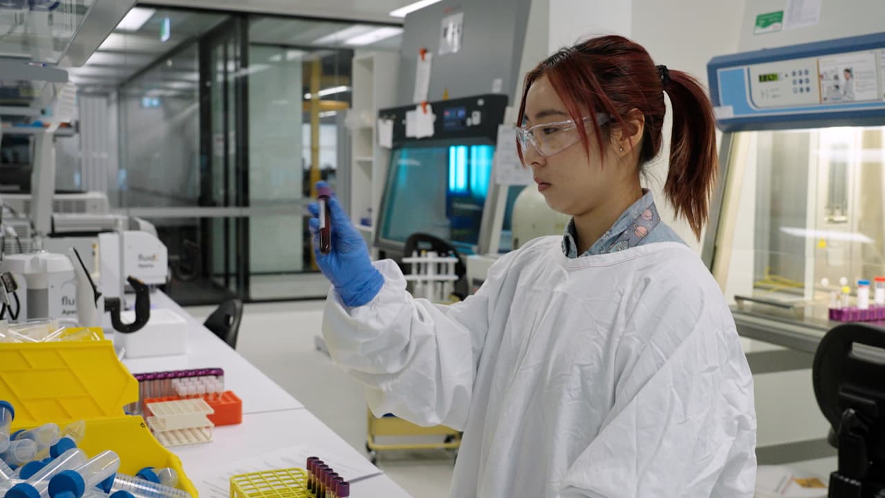 Isolating Human Peripheral Blood Mononuclear Cells from Buffy Coats <i>via </i> High Throughput Immunomagnetic Bead Separation