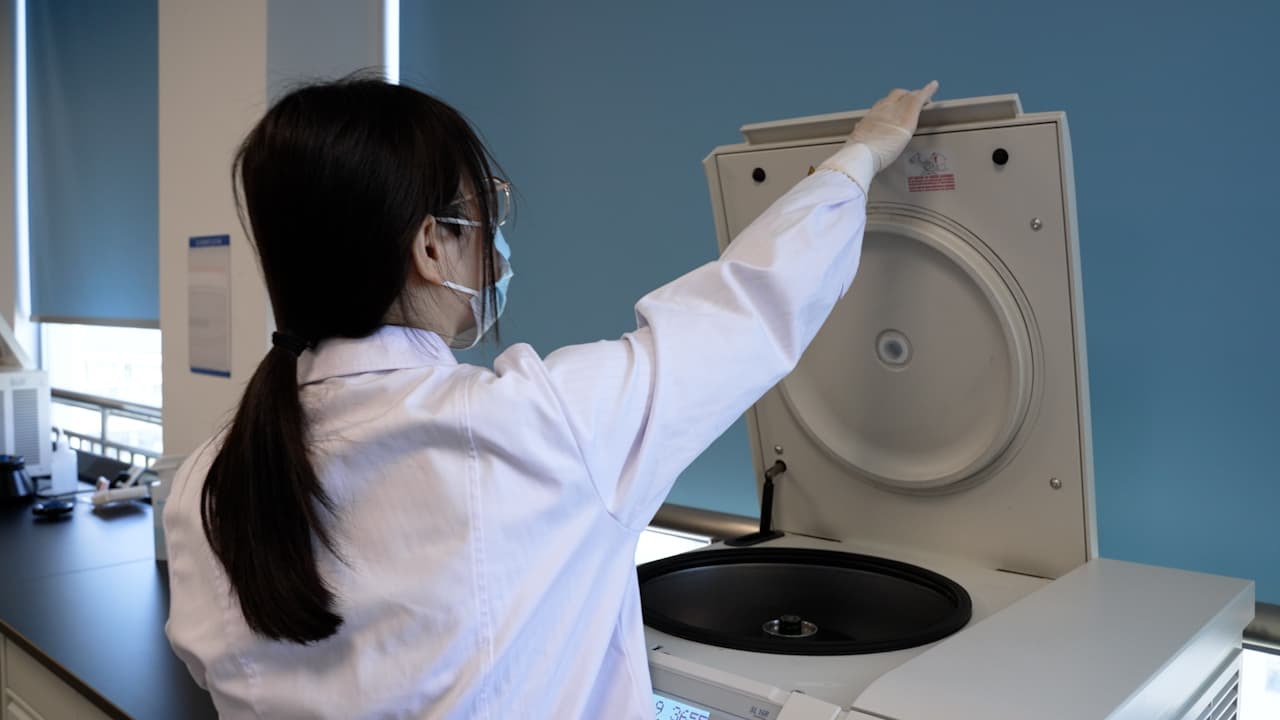 Quantifying the Level of 8-oxo-dG Using ELISA Assay to Evaluate Oxidative DNA Damage in MCF-7 Cells