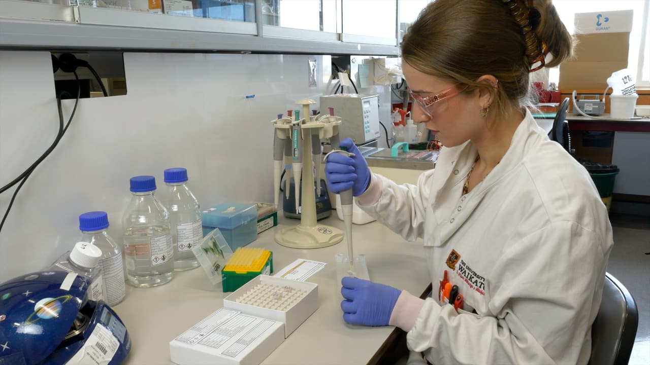 Using Modified Synthetic Oligonucleotides to Assay Nucleic Acid-Metabolizing Enzymes