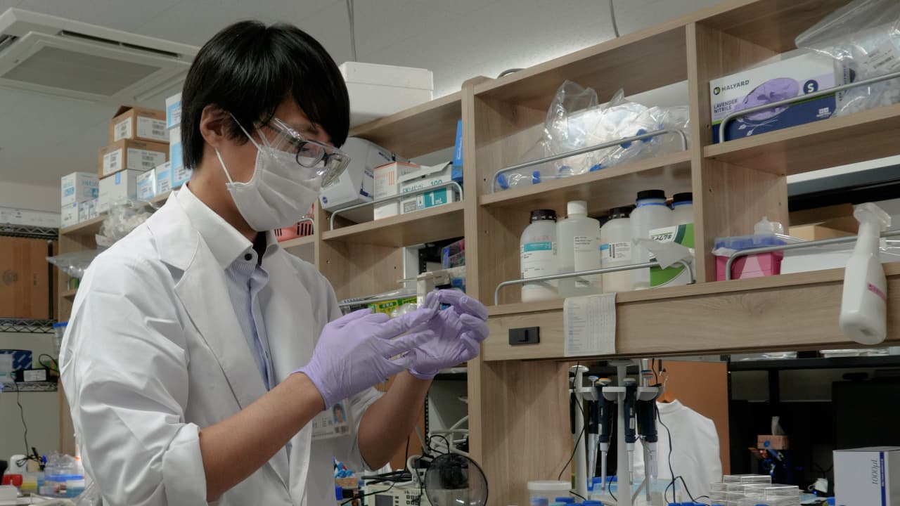 Technique for Intranasal Administration of α-Synuclein Aggregates