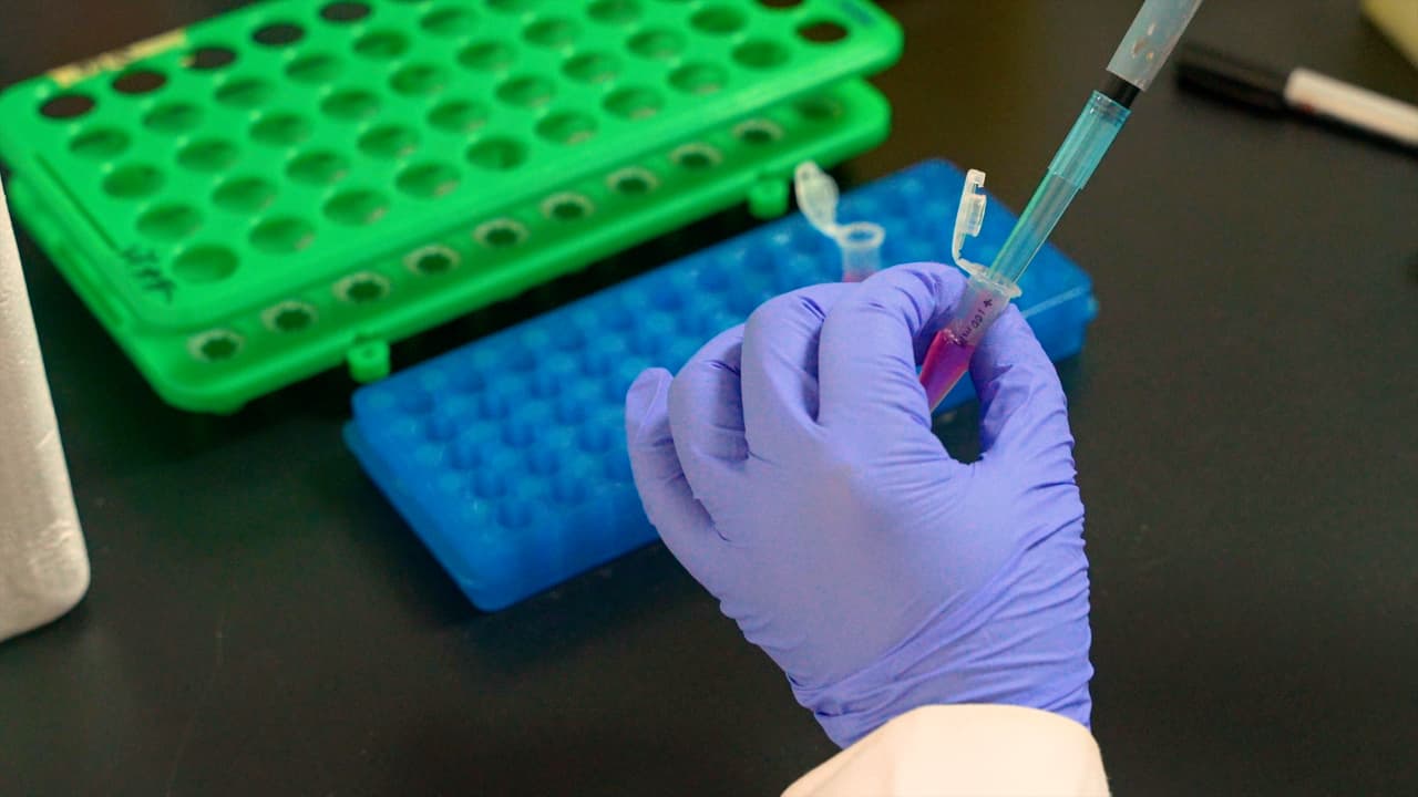 Author Spotlight: Innovative Laser Techniques for Hoechst Staining to Analyze Side Population Cells