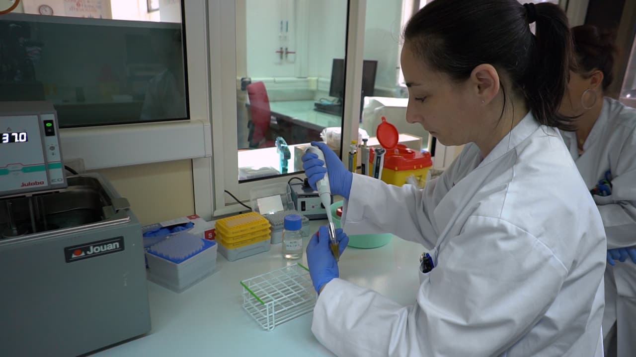 Procoagulant Platelet Characterization by Measuring Phosphatidylserine Exposure and Microvesicle Release from Human Purified Platelets