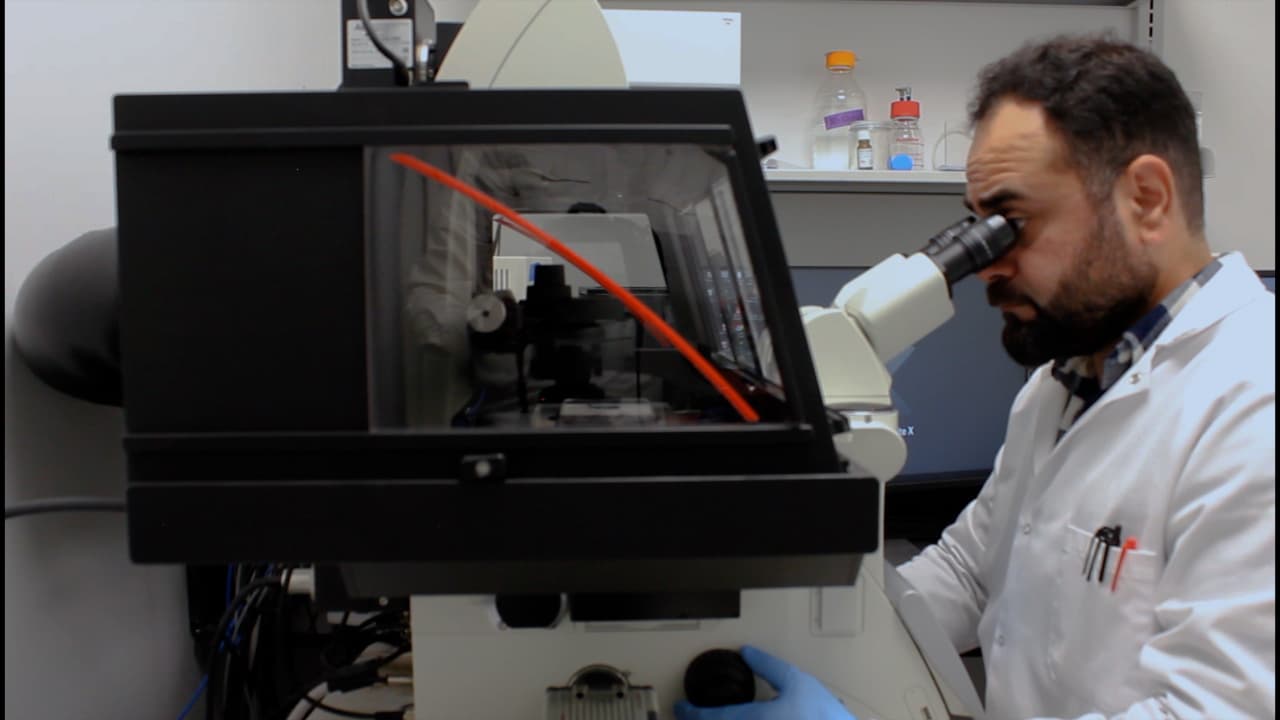 Determining Ciliary Function and Membrane Impermeability of the Pseudostratified Lung Airway Epithelium