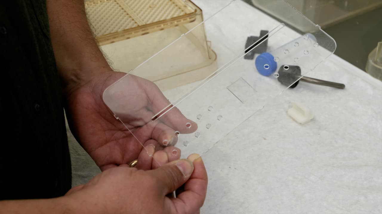 A Do-it-yourself System for Scheduled Feeding of Laboratory Rodents in Their Home Cage