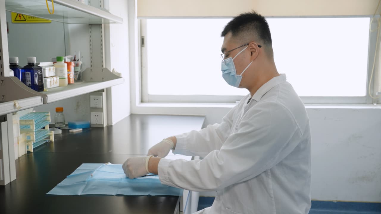Methods for Detecting Cough and Airway Inflammation in Mice